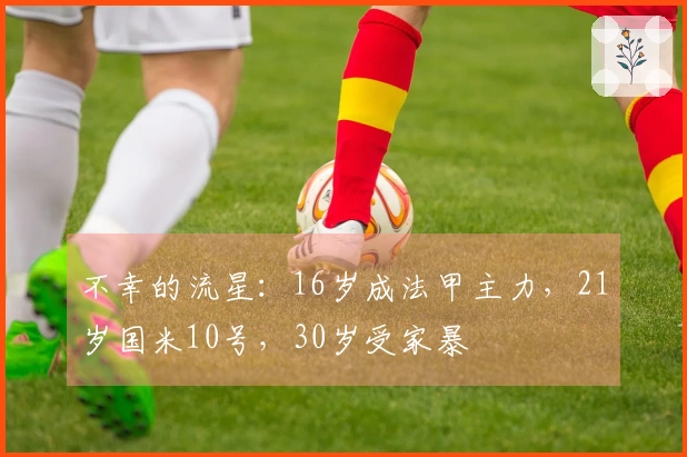 不幸的流星：16岁成法甲主力，21岁国米10号，30岁受家暴