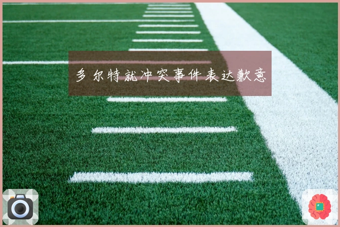 多尔特就冲突事件表达歉意